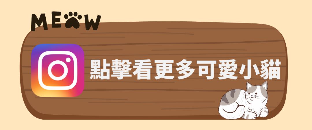 維多利亞貓舍