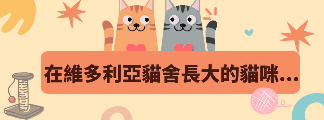 維多利亞貓舍